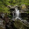 Ninglinspo Waterval Ardennen   (469416) van Wesley Van Vijfeijken