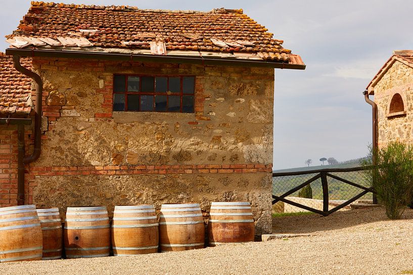 Wine barrels by Graham Forrester