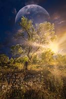 Dream landscape