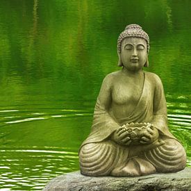 Bouddha sur une pierre dans un lac de forêt sur Dörte Bannasch