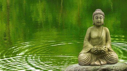 buddha on a stone in a forest lake
