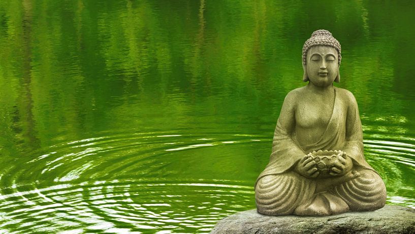 buddha on a stone in a forest lake by Dörte Bannasch