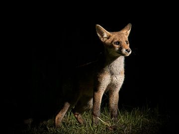 Looking to the future, with confidence. by Guido Rooseleer