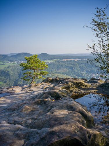 Kleine den op de Lilienstein