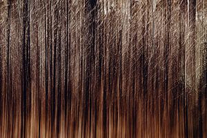 Les arbres en mouvement