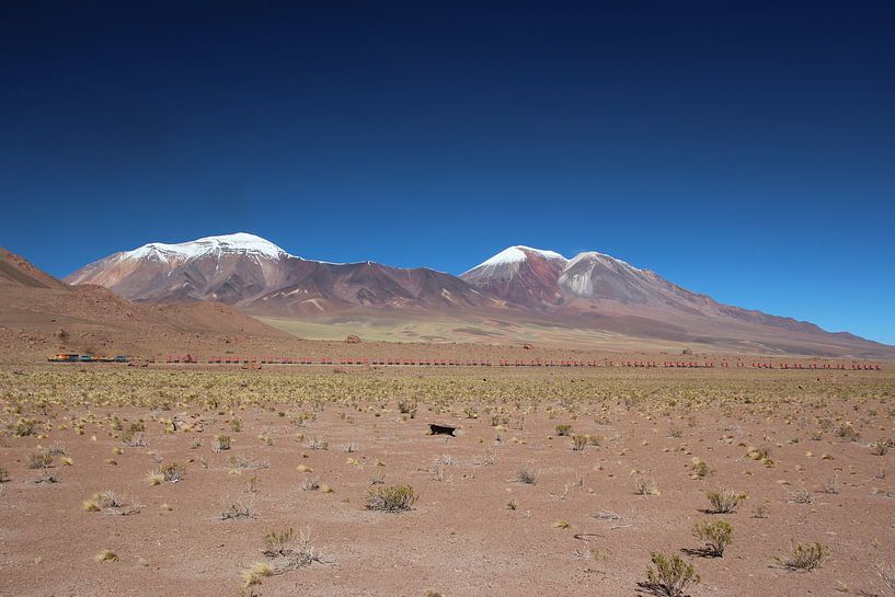 Zug mit vielen Waggons, Salar de Ascotán, Vulkan, Chile von A. Hendriks