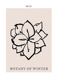 Botanique d'hiver sur Treechild