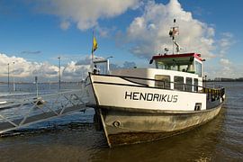 Plume de pied Henry sur René Weijers