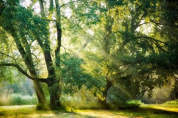 Receiving & Giving by Lars van de Goor