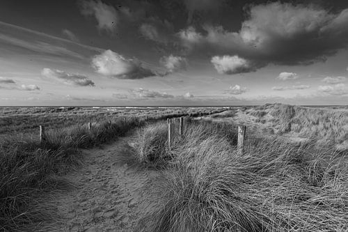 Hollands duinlandschap bij Petten, het zandpad leidt de weg naar de Noordzee