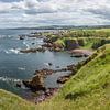 Panorama St Abbs Head in Schottland von Arja Schrijver Fotografie