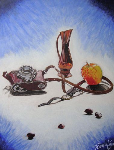 Stilleven met fotocamera