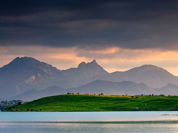 Evening mood at the Forggensee