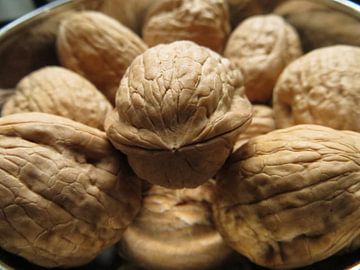 walnoten in schaal van Clementine aan de Stegge