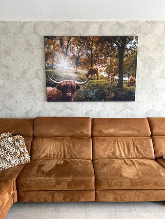 Scottish Highlanders