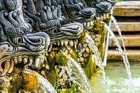 Balinese waterspuwers