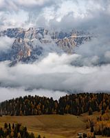 Sella