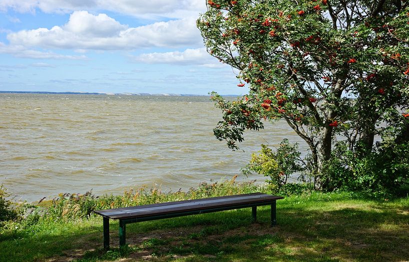 A Summer Day on the Curonian Lagoon by Gisela Scheffbuch