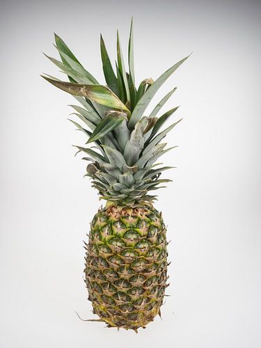 Ananas
