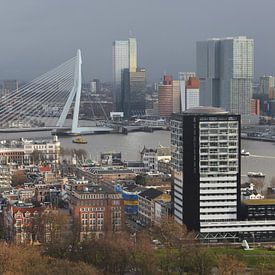 Pont Erasmus Rotterdam sur Europhoto Netherlands