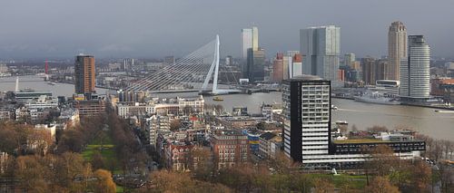 Erasmus Bridge Rotterdam