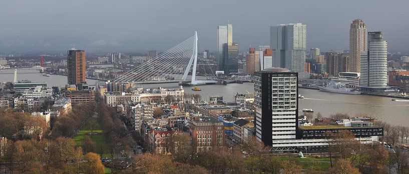 Erasmusbrug Rotterdam van Europhoto Netherlands