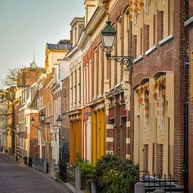 Charakteristische niederländische Häuser in Leeuwarden von Janet Kleene