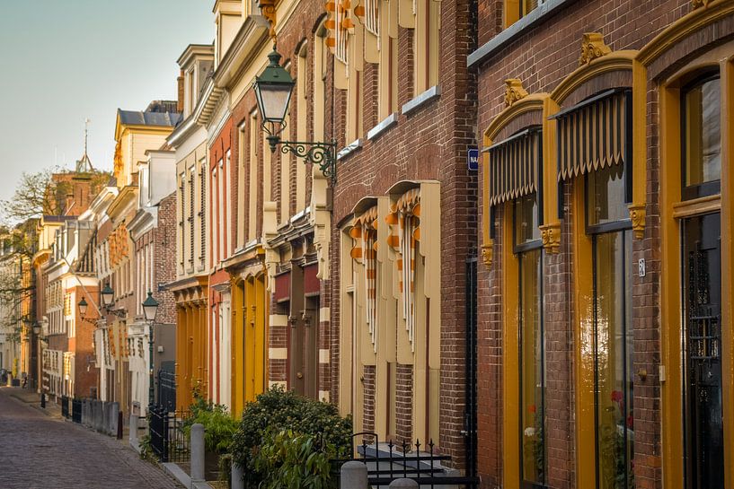 Characteristic Dutch houses in Leeuwarden by Janet Kleene
