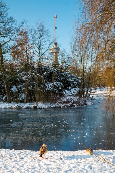 Der Euromast - Winter 3 von Nuance Beeld