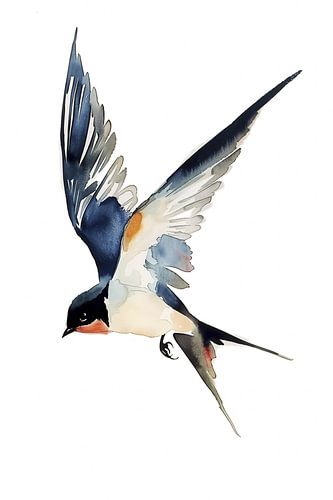 Aquarel Zwaluw in vlucht