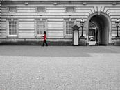 De wacht bij Buckingham Palace van Charlotte Dirkse thumbnail
