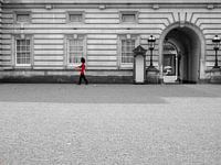 De wacht bij Buckingham Palace