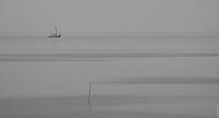 Het IJsselmeer bij Piaam (Friesland)