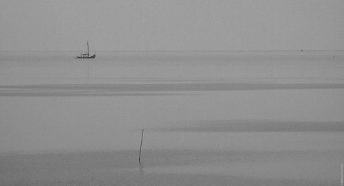Het IJsselmeer bij Piaam (Friesland)