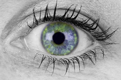Gekleurde Iris | Zwart-wit foto van een oog