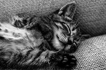 Niet denken aan vandaag, maar dromen over morgen