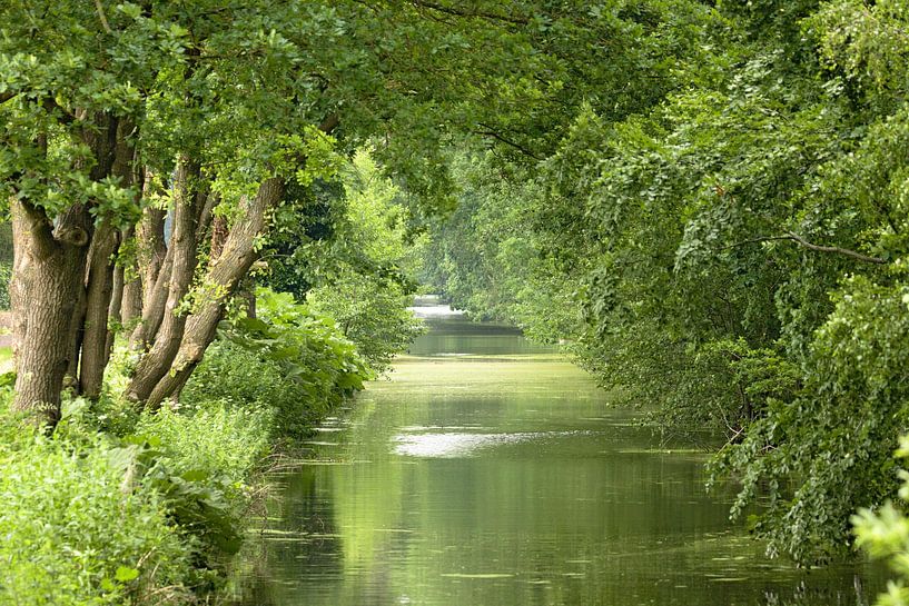 Überwachsener Fluss von Karsten van Dam