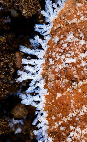 Wintery by Thomas Jäger