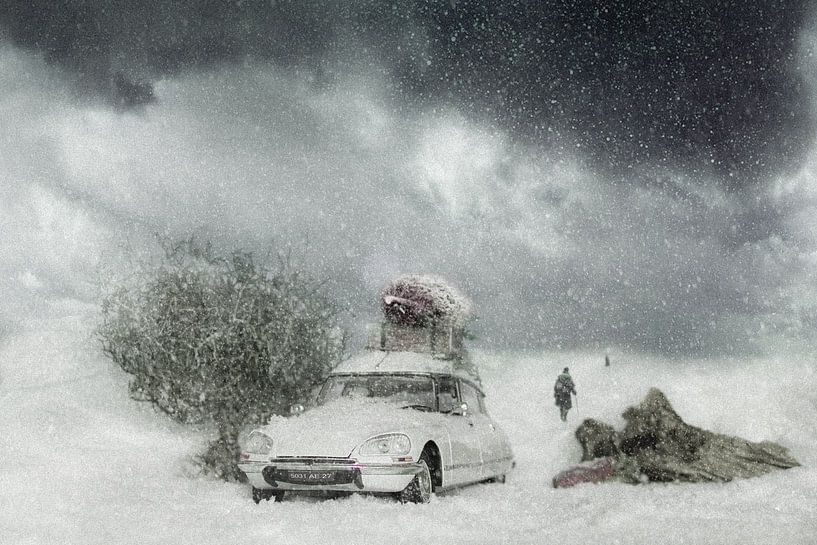 Citroen DS in de sneeuw van Harry van Rhoon