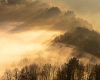 Fairytale forest atmosphere in autumn.