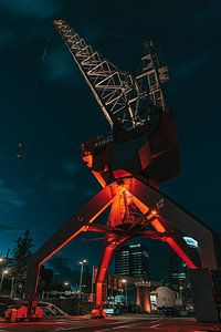 Die Rote Taube