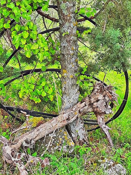 Counterpoint by Dorothy Berry-Lound