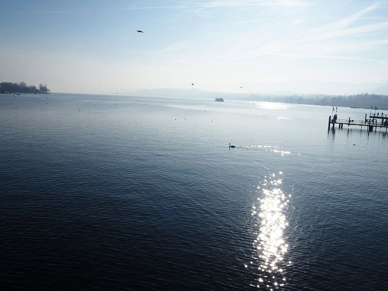 Zürichsee 1 von Huib van Wees