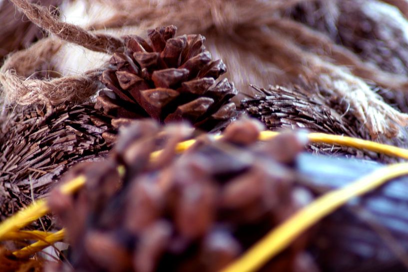 Autumn pinecone van Photoart-Naegele