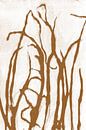 Abstract gras in retro stijl. Moderne botanische minimalistische kunst in terracotta op wit van Dina Dankers thumbnail