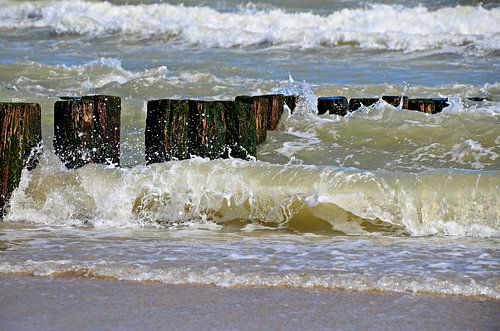 zeepalen en golven strand Domburg