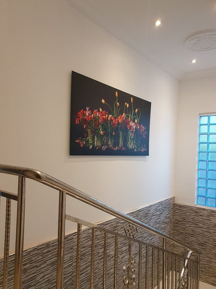 Tulips from Holland  by Dirk Verwoerd 