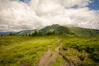 the way to the top