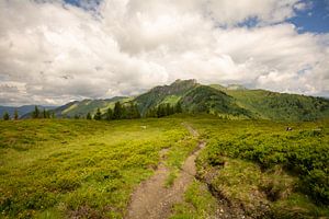 der Weg zum Gipfel