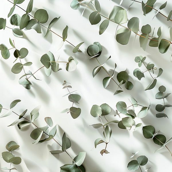 Eucalyptus branches by Poster Art Shop